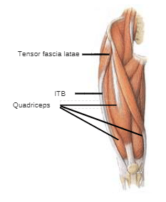 knee pain causes muscles remedial massage energy healing biodynamic craniosacral therapy services sydney cbd