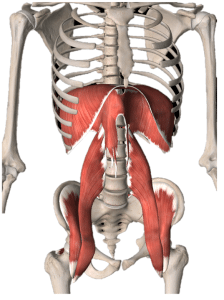 remedial massage biodynamic craniosacral therapy energy healing reiki services sydney cbd remedial massage health fund rebate sydney cbd circular quay martin place deep tissue massage remedial massage therapist near me remedy massage